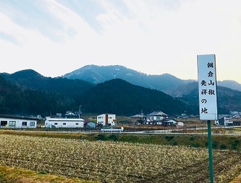 山椒1.jpgのサムネイル画像