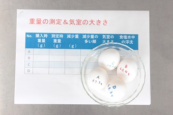 第8回来場参加型オープンキャンパス開催!