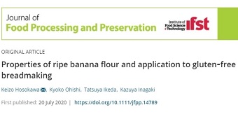 追熟バナナを利用したグルテンフリーパンに関する研究