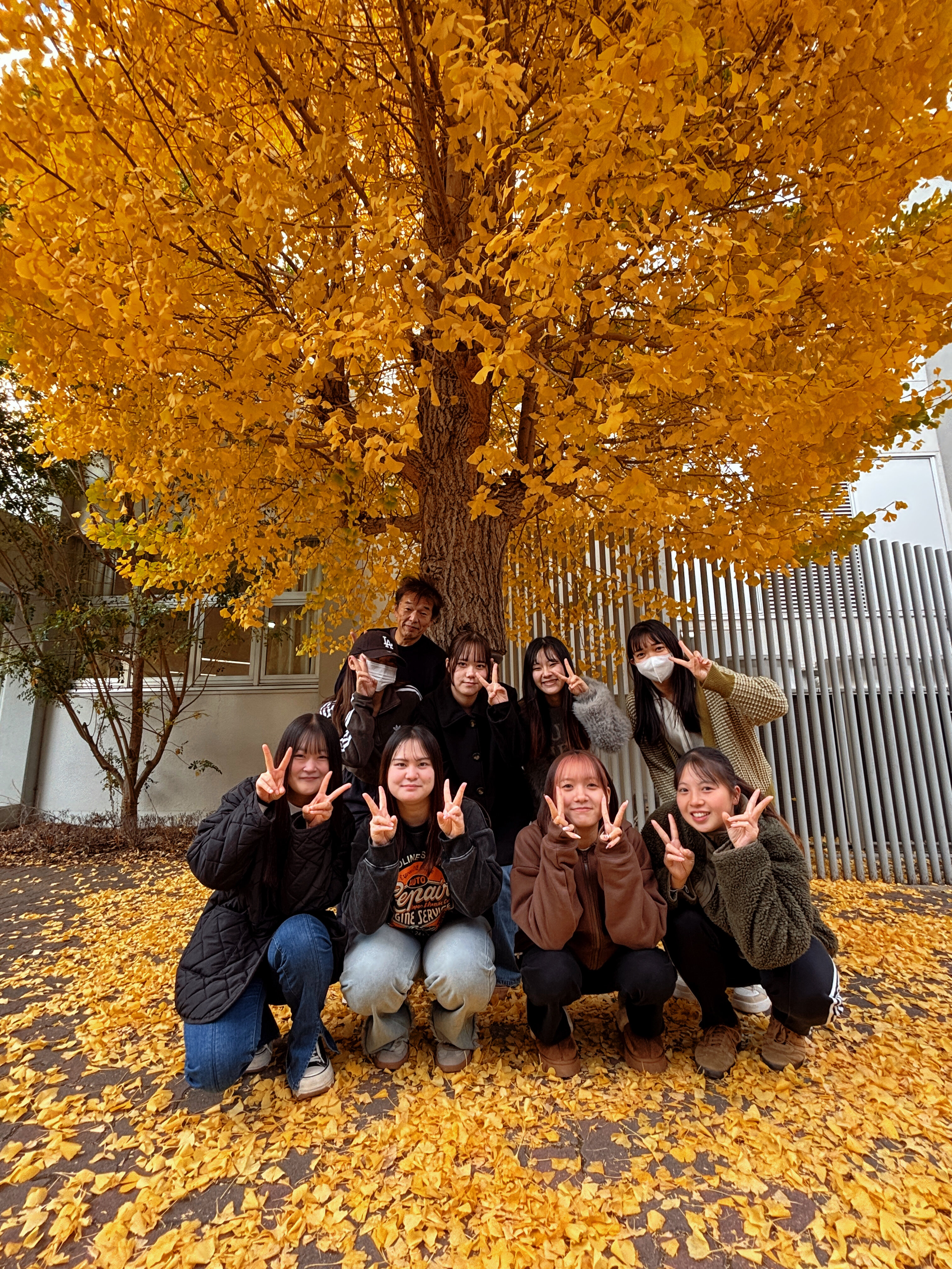 ドリームキッズサポーター