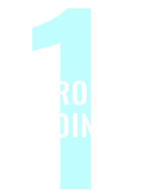 StrongPoint1