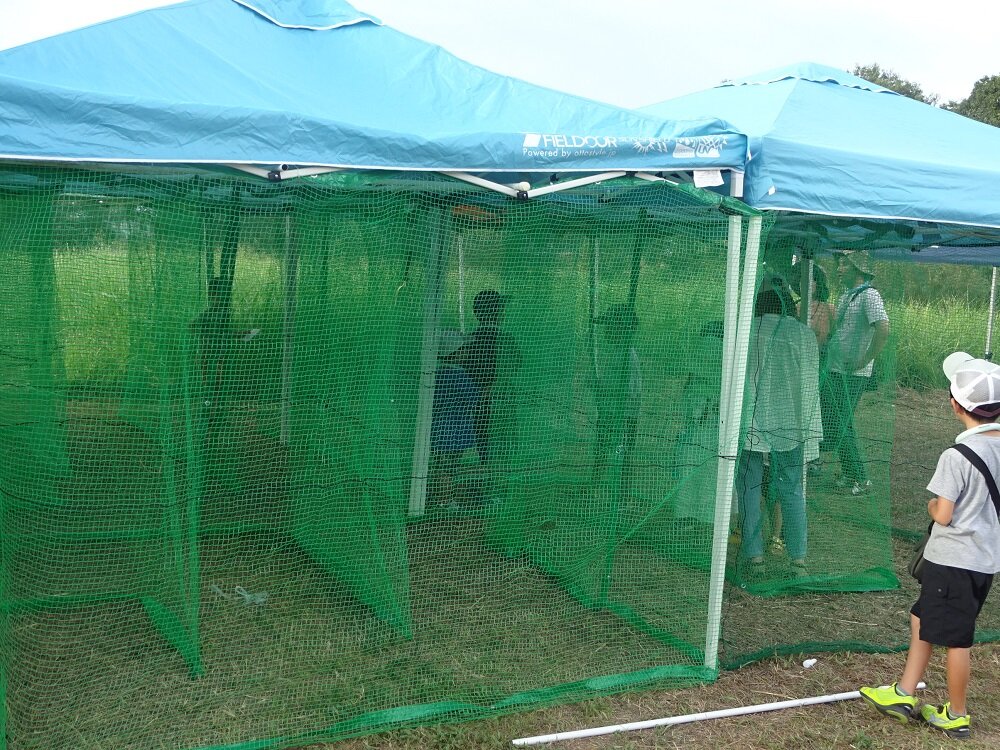 20240824-volunteer04.jpg