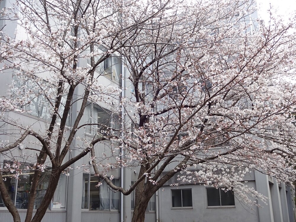 20250403-entrance02.jpg