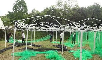 【現代ビジネス学科】いなみ野水辺の里公園のイベント運営ボランティア活動を行いました。