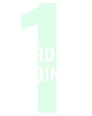 StrongPoint1