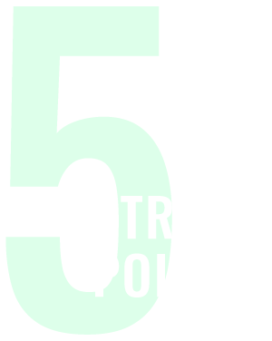 StrongPoint4