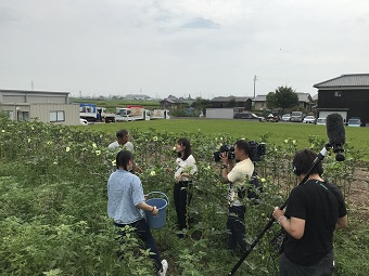 バンバンHPおくら1.jpg