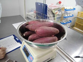 給食提供③.jpg
