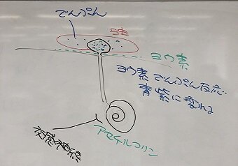 3_0707.jpg