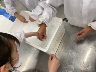 冷やし中.jpg