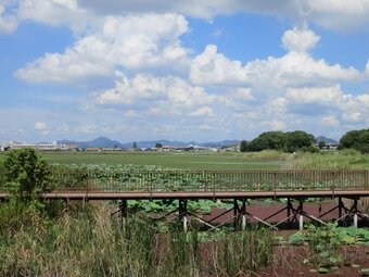 0827_4.jpg