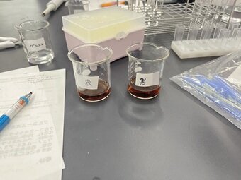 glu-1.jpg