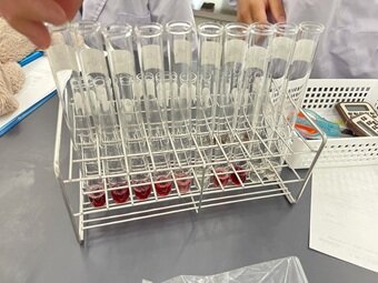 glu-4.jpg