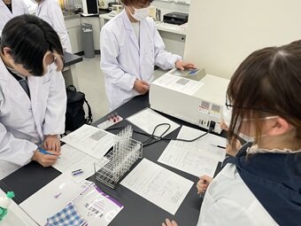 glu-6.jpg