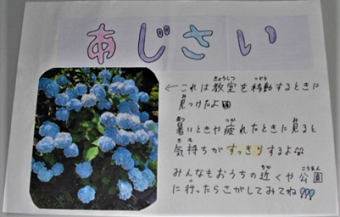 あじさい記事.png