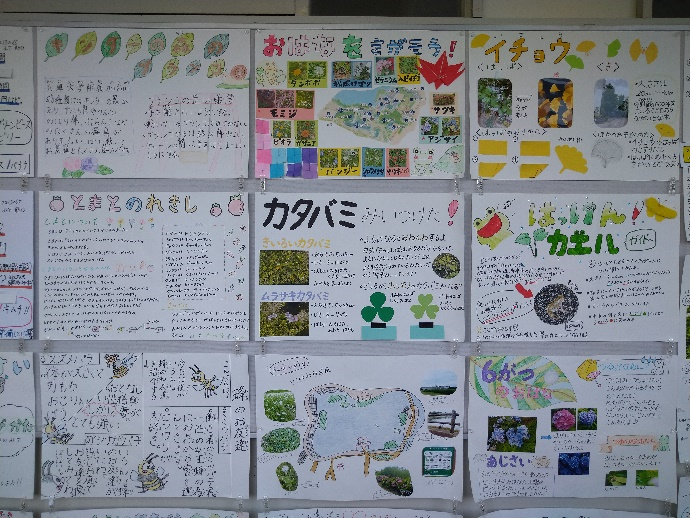 横記事.png