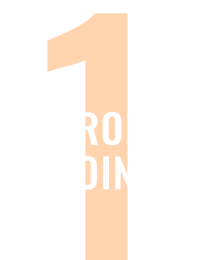 StrongPoint1