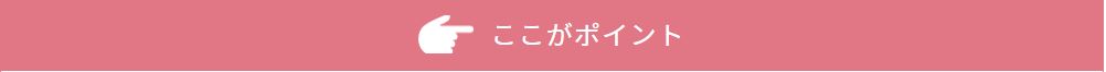 ここがポイント.jpg