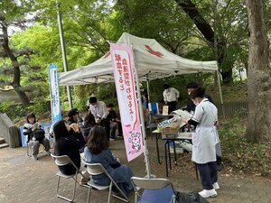 IMG_7061.JPG