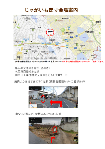 じゃがいもほり　裏.png